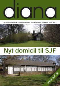 Forsiden af Diana 2013 nr. 2