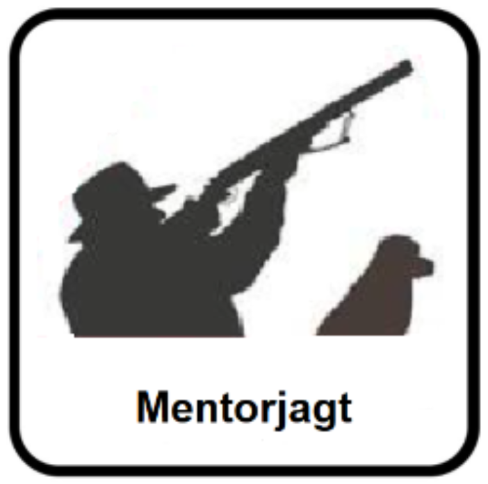 Mentorjagt