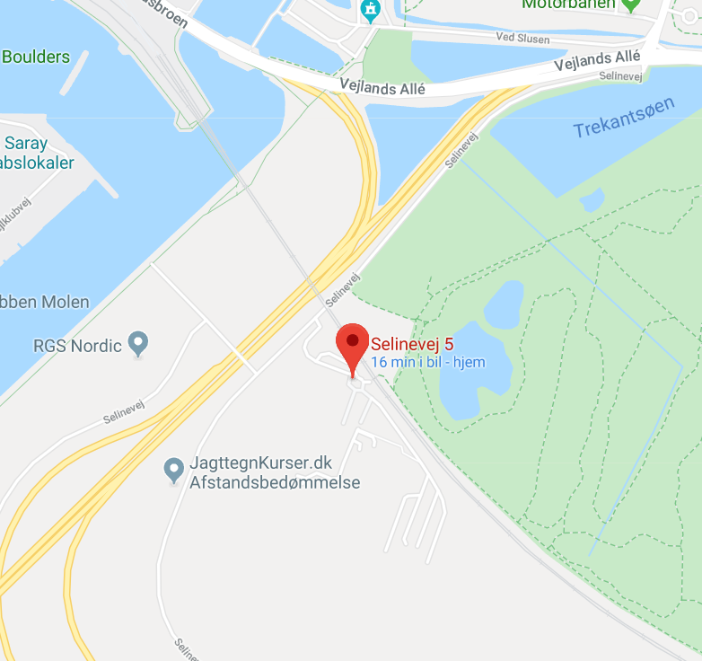 Kort over Selinevej 5