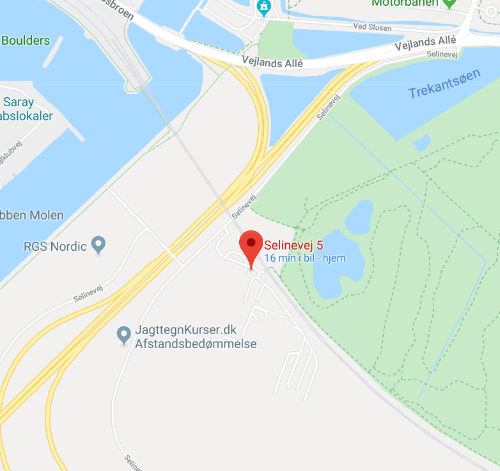 Kort over området omkring Selinevej 5